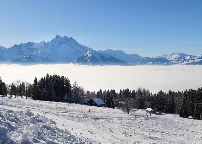 Sapin Bleu 6 By Interhome * Villars-sur-Ollon