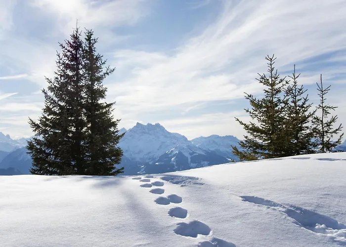 Appartement Sapin Bleu 6 By Interhome